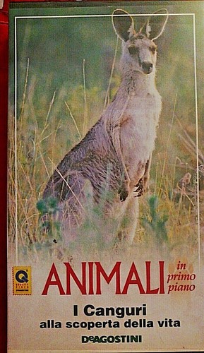 Animali piero angela canguri - angela,