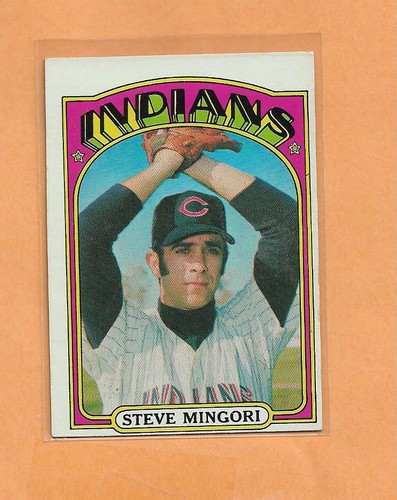 Cartolina steve mingori - steve,
