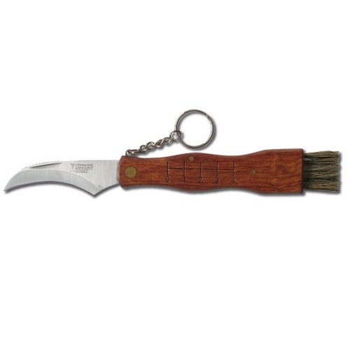 Coltello coltellino funghi - coltello,
