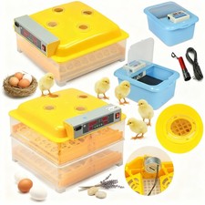 Incubatrice incubatrice