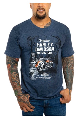 Harley davidson shirt - t-shirt, uomo