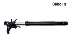 Gamba forcella anteriore