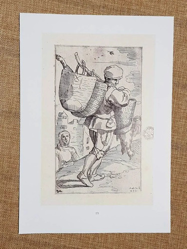Sportarolo sguattaro - e,