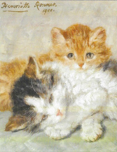 Nuova cartolina gatti gattini - nuova,