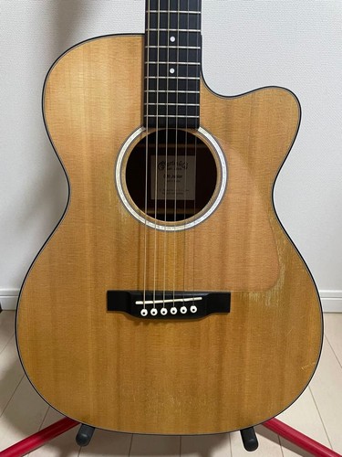 Chitarra elettrica acustica