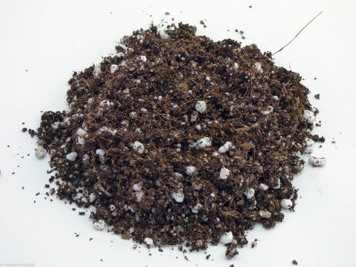 Tazze best cannabis potting - best,
