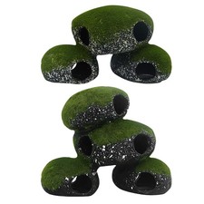 Acquario Grotta Tunnel Roccia