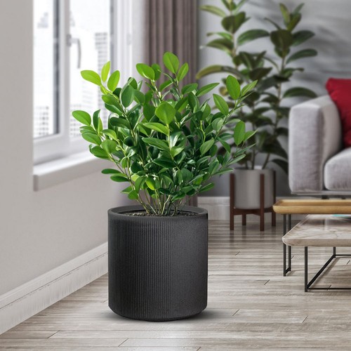 Vaso resina esterno - in,