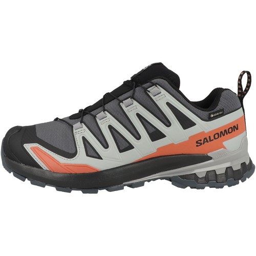 Salomon pro v9 - 3d,