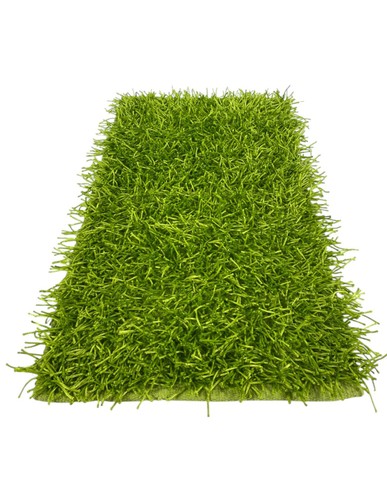 Tappeto shaggy verde - verde,
