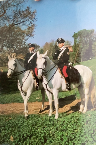 Cartoline carabinieri vari - 24,