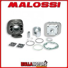 3113570 GRUPPO TERMICO MALOSSI