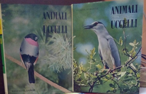 Animali come sono - come, sono/dove