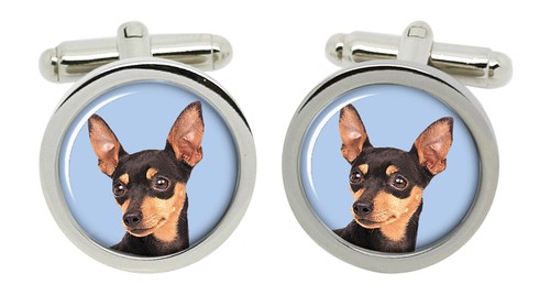 Cufflinks miniature pinscher - cufflinks,
