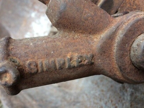 Binda simplex probabilmente - binda,