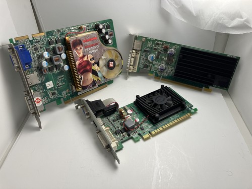 Lotto gpu evga 8400gs - gpu,