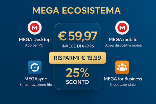 Software gestionale - software,