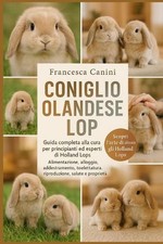 Coniglio Olandese Lop: Guida