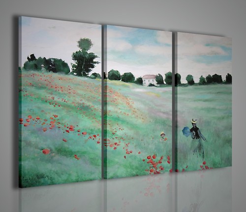 Claude monet vol quadro - monet, ii