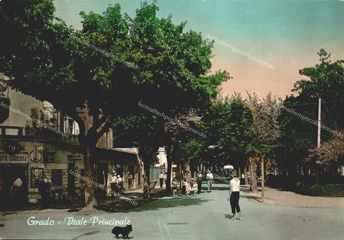 Ep585 cartolina grado viale - cartolina, grado,