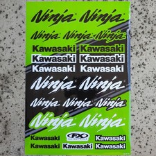 Kawasaki Ninja 250 300 500 ZX6