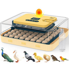 56-Egg Incubator with Candler