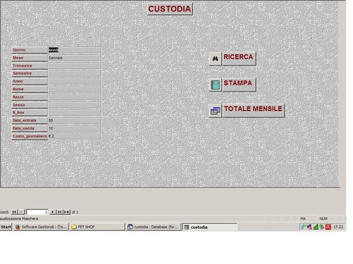 Software gestionale programma - software,