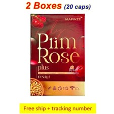 2x Mafinze Lady Plus Primula