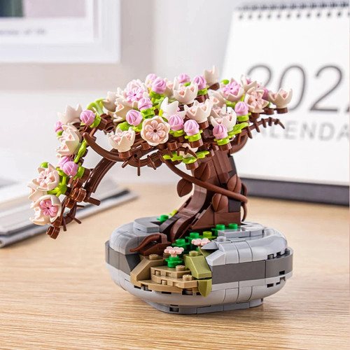 Mini pianta bonsai - blocco, da