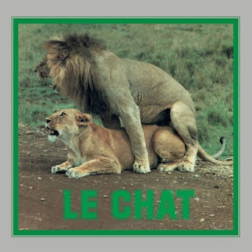 Pussycat chat mint - -, (12")