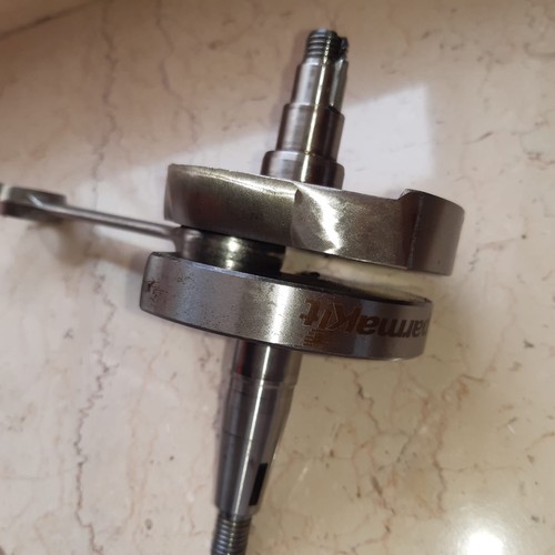Albero parmakit anticipato - albero,