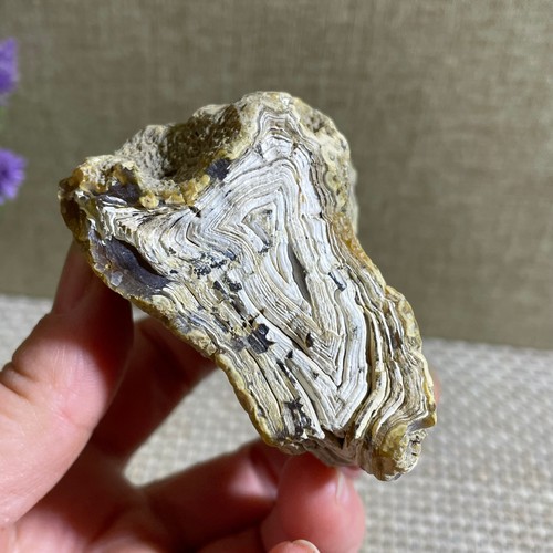 Bonsai suiseki 168g - bonsai,