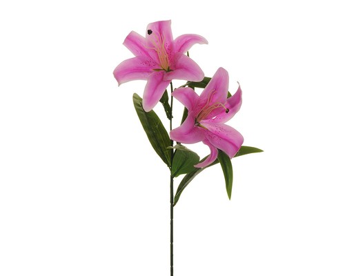 Ramo lilium natural touch 70 - lilium,