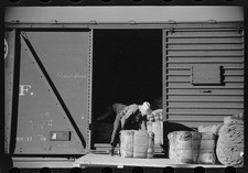 Cooperativa di coltivatori