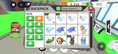 Adopt pets - adopt,