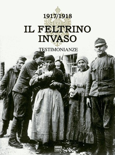 Libri feltrino invaso - libri,