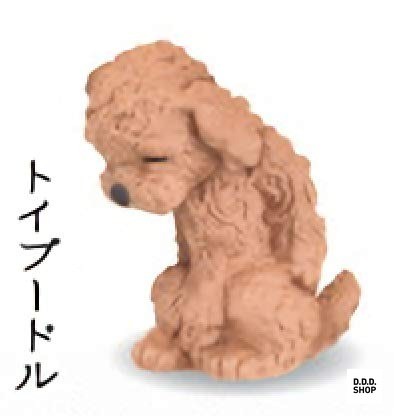 Toy poodle ojigi san bows - toy, ojigi-san