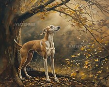 Whippet admiring tree - 8x10