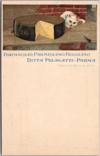 Cartolina pubblicitaria - cartolina,