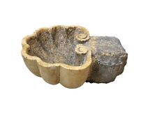 Acquasantiera in marmo giallo di Verona conchiglia Casa Bagno Chiesa Arte Sacra