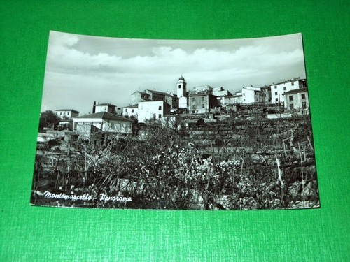 Cartolina montemarcello - cartolina,