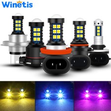 Lampadine guida fendinebbia