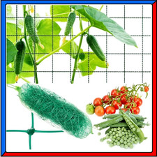 Rete per Sostegno Supporto Piante Rampicanti 2x10m Verde da Giardino Balcone