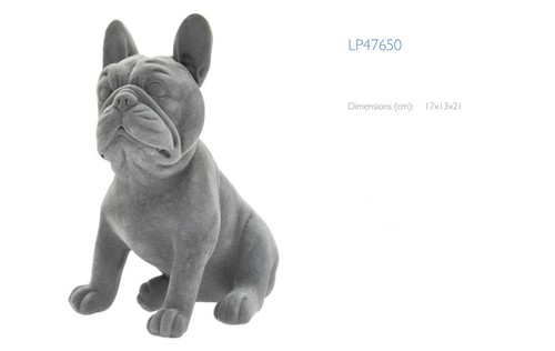 Bulldog francese seduto