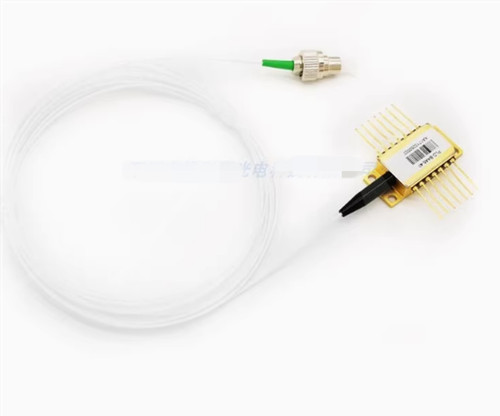Fibra 976nm conservazione - conservazione, bias