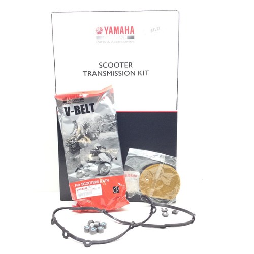 Kit tagliando variatore - tagliando,
