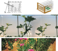 RETE DI SOSTEGNO PER