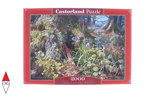 Puzzle paesaggi castorland - paesaggi,