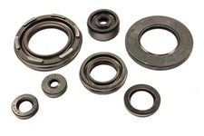 Kit guarnizioni olio motore