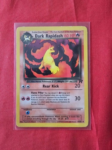 Dark rapidash team - dark,
